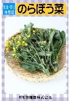 のらぼう菜