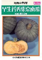 つるなし菜豆(トップクロップ)