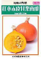 つるあり菜豆(ケンタッキー)