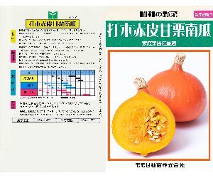 錦えびす南瓜解説