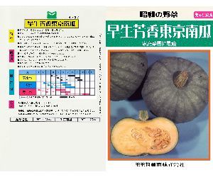 錦えびす南瓜解説