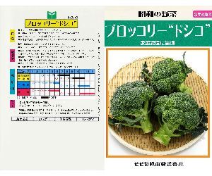 ブロッコリードシコ解説