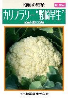 カリフラワー野崎早生