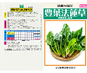 豊葉法蓮草解説