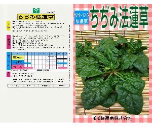 ちぢみ法蓮草解説