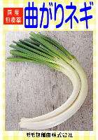 曲がりネギ