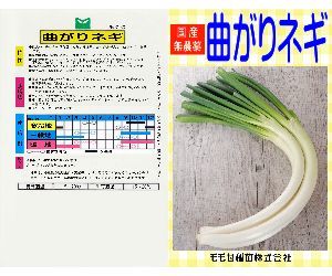 松本一本太ねぎ解説