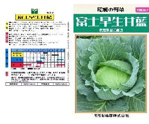 富士早生甘藍解説