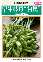 早生枝豆白鳥